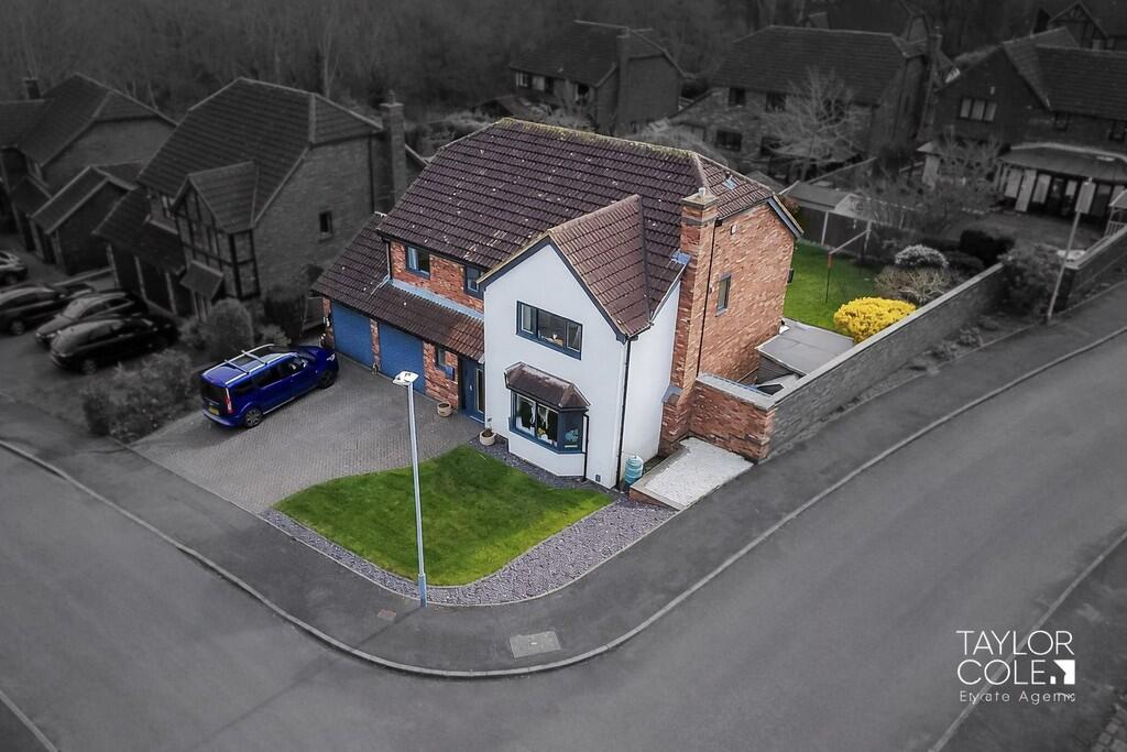 Additional image 2 of Shannon, Belgrave