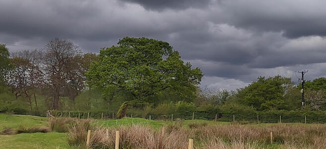 IMG_20250427_151610