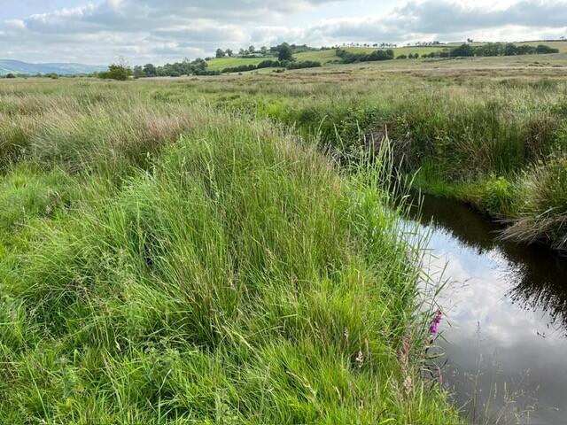 Pontrhydfendigaid, Tregaron, SY25 photo 2
