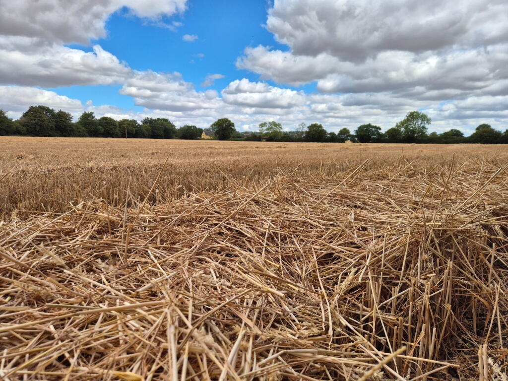 Linstead nr Halesworth - More