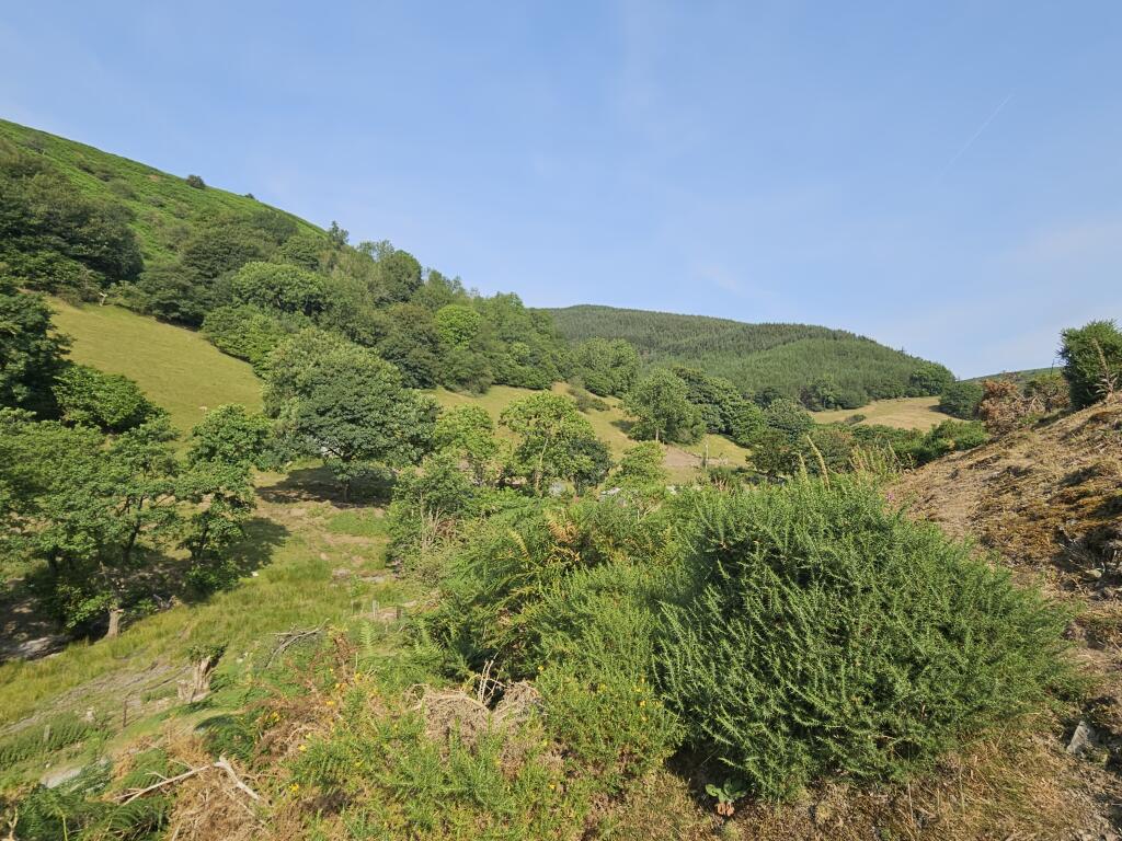 Birds Nest Cottage, Minton, Shropshire photo 4