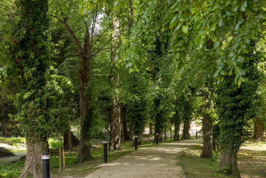 A Sanctuary in the Countryside 2