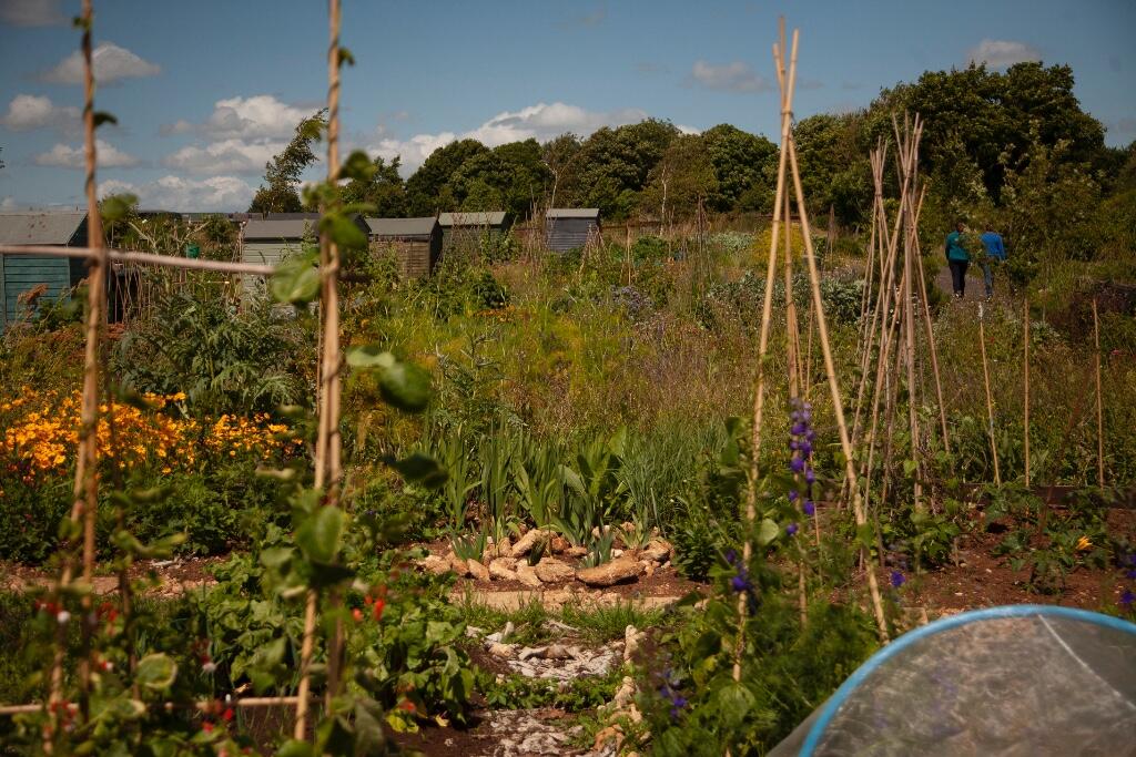 Additional image 10 of lifework communities, Hartley Farm, Winsley nr Bath,BA15