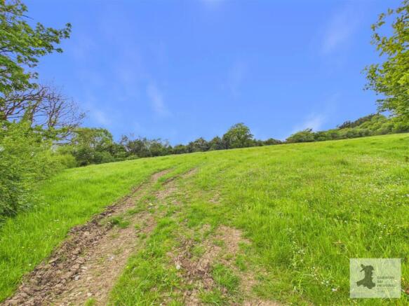 field