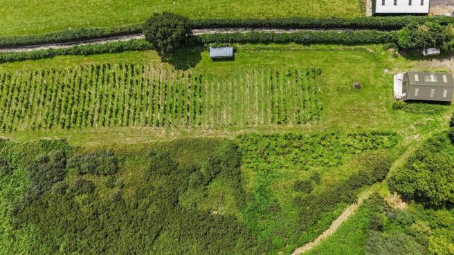 Drone View