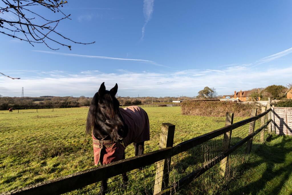 The Hurst, Winchfield, RG27 photo 3