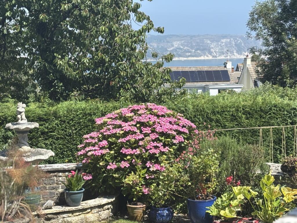 Swanage, Dorset photo 2