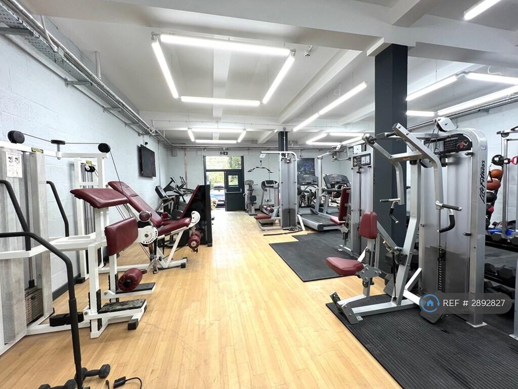 1 bedroom flat share for rent