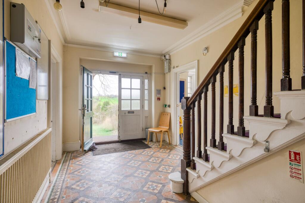 Additional image 3 of Bruton