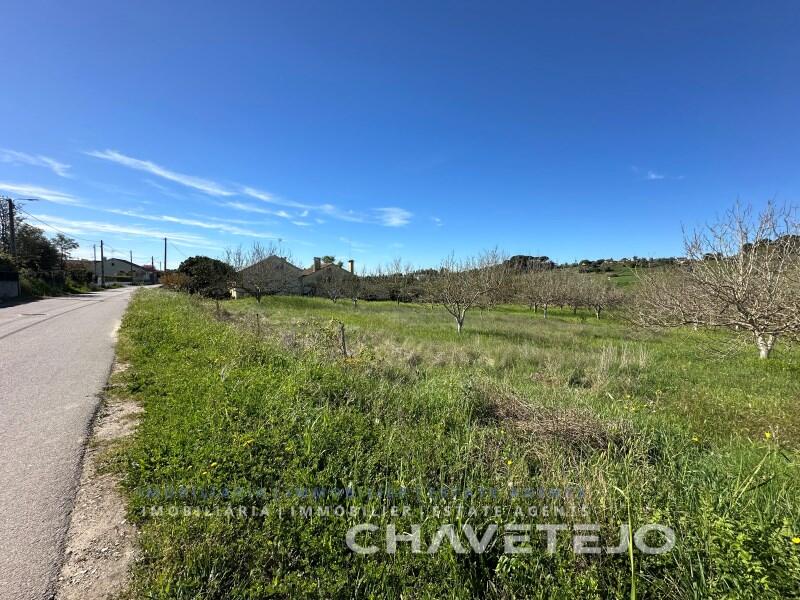 Main image of property: Ribatejo, Tomar