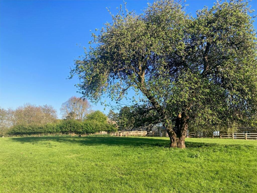 The Village Paddock at Bisbrooke, Rutland - about 1.15 acres - View 3
