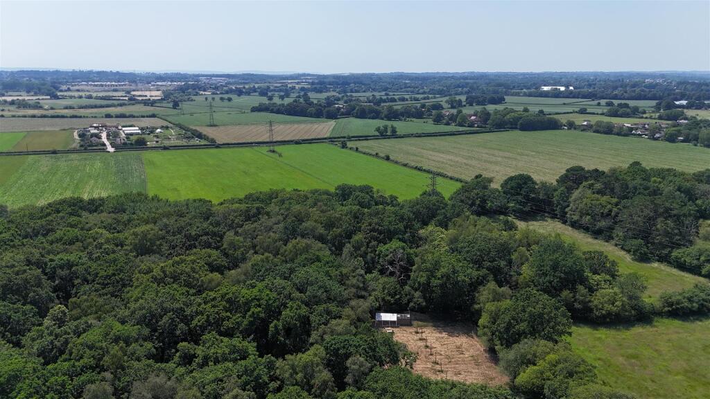 Woodland at Big Copse, Hampreston, Wimborne - Ansicht 4