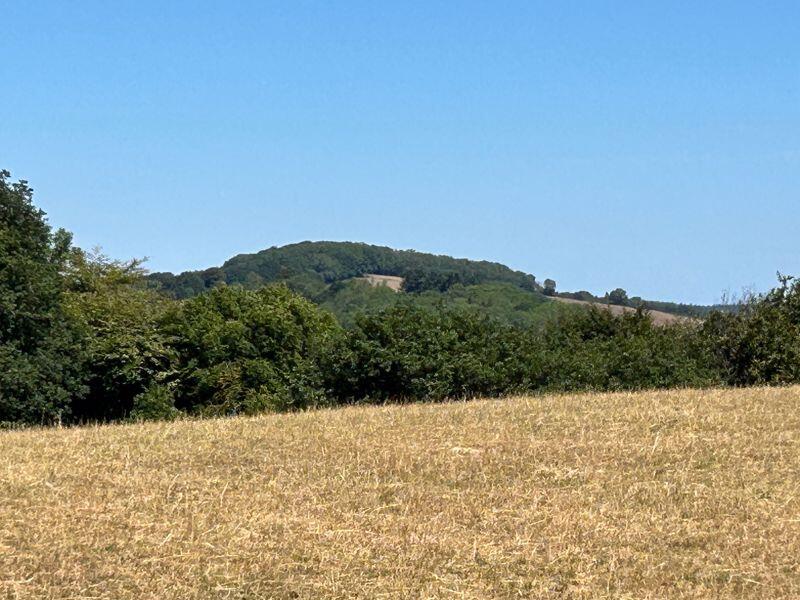 Symonds Yat Rock, Coleford photo 3