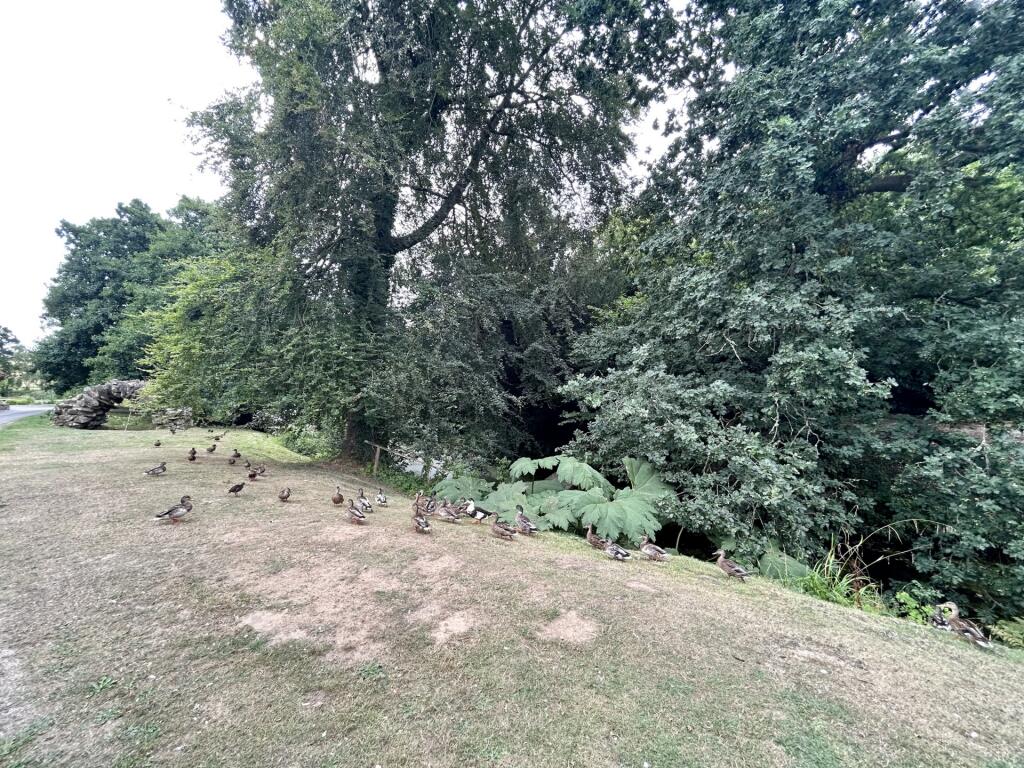 Additional image 13 of Lake Mews, Barwick, BA22