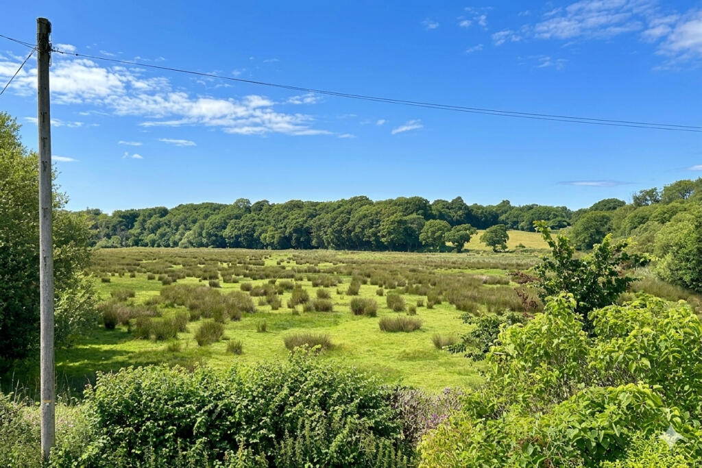 East Stoke, Wareham photo 5