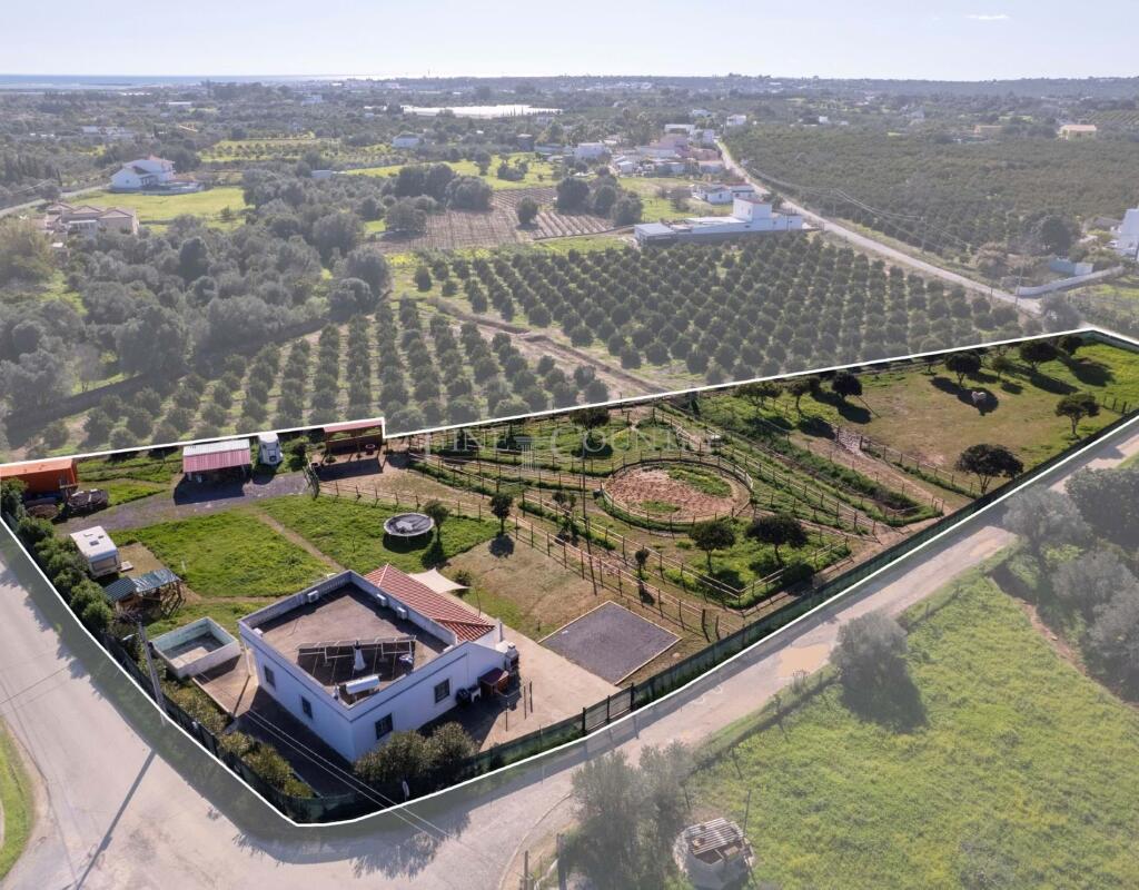 Main image of property: Algarve