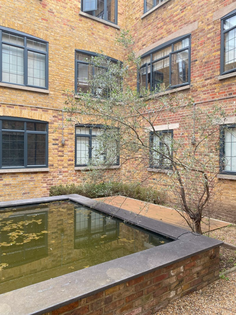 Existing courtyard