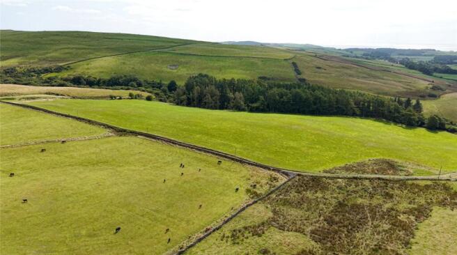 Farmland