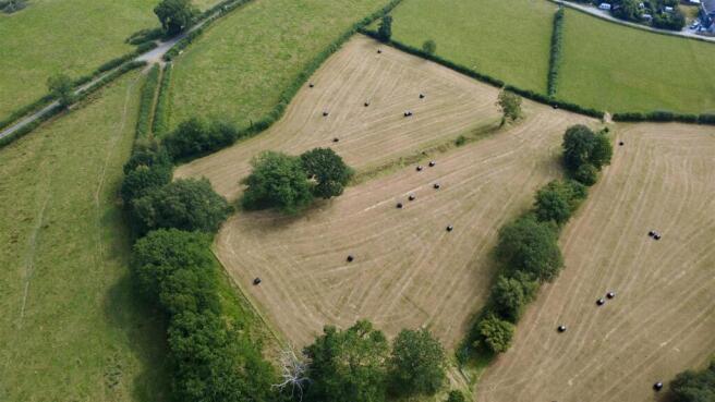 dji_fly_20260717_104124_627_1784281319281_photo_op