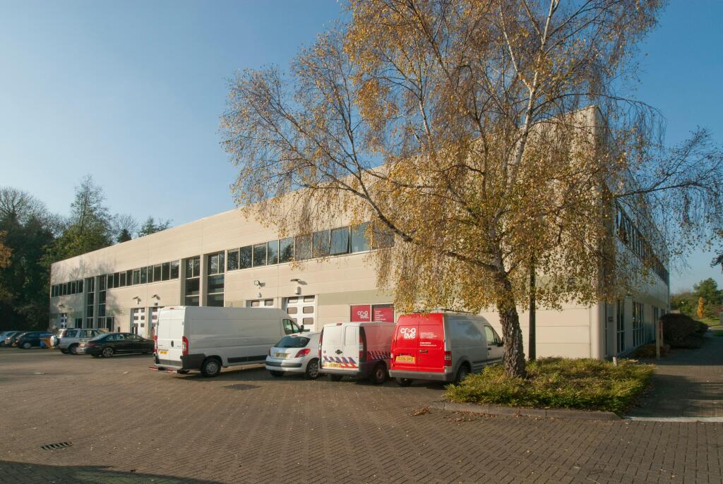 adv-crox0065.jpg