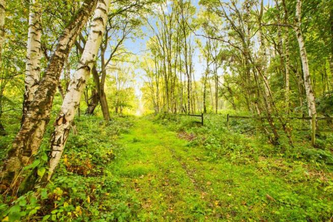 pbox-IMG.jpg