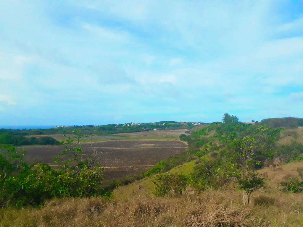 Main image of property: Nesfield, St Lucy