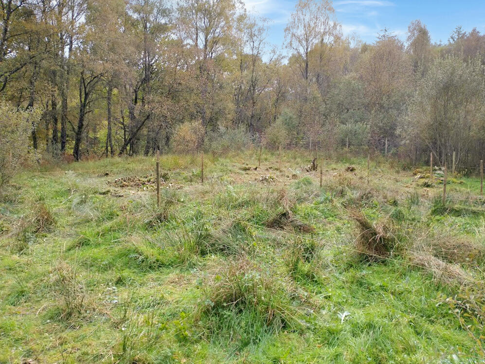 Main image of property: Plot at Braeroy Road, Roy Bridge, Inverness-Shire, PH31  4AJ