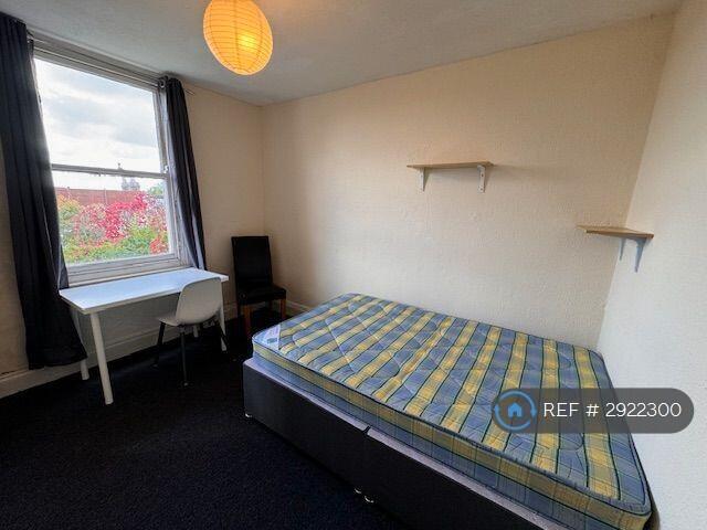1 bedroom house share for rent
