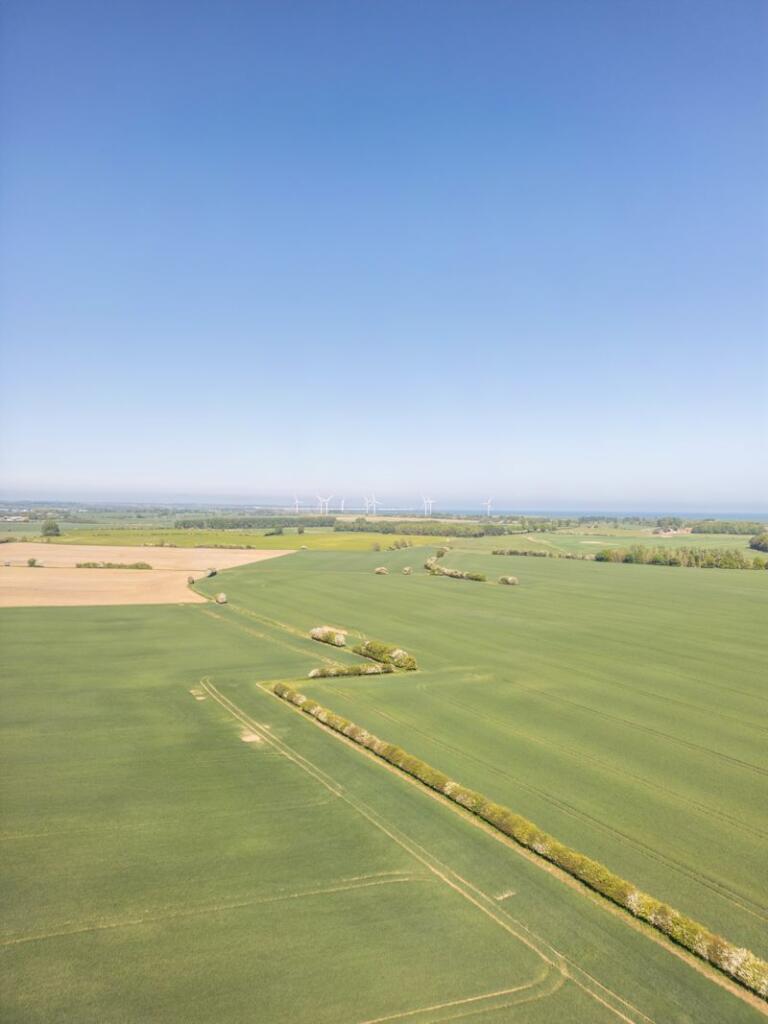 Gransmoor, Driffield - View 5