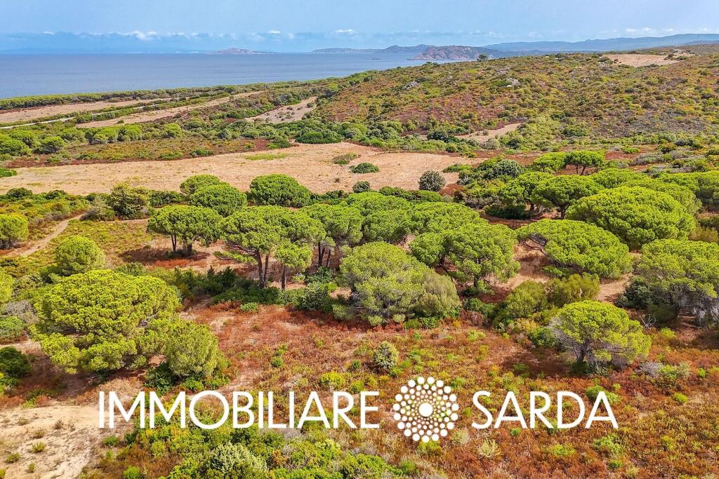 Main image of property: Sardinia, Sassari, Aglientu
