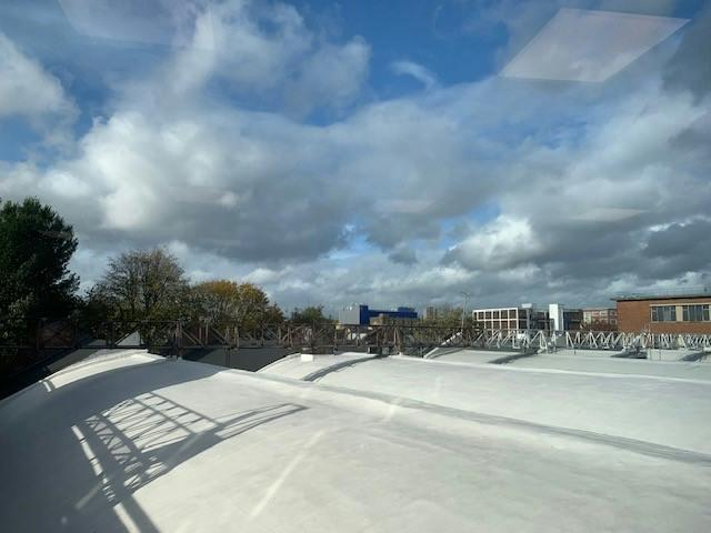 Pic 5.jpg