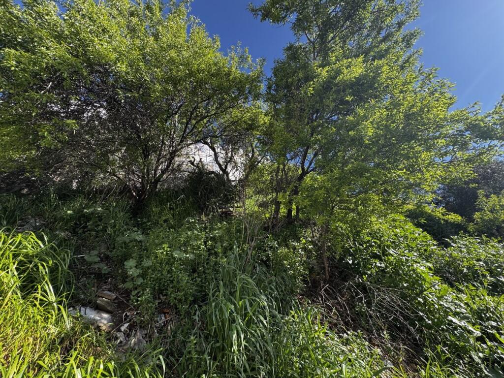 Main image of property: Olvera, Andalucia, Spain