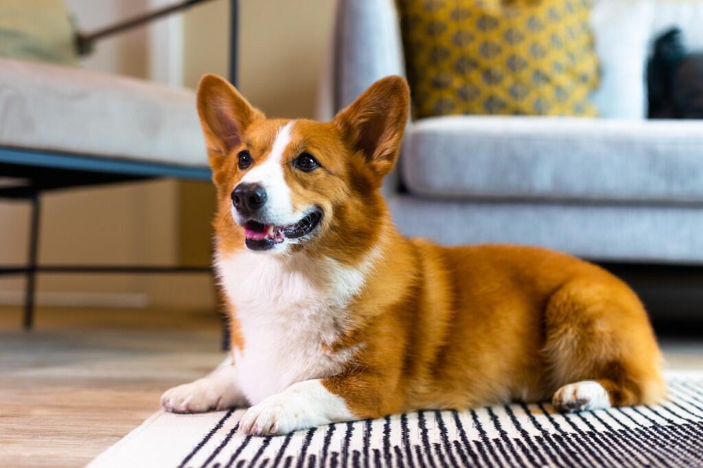 Additional image 15 of Flat 422, Allcock Street, Birmingham, B9