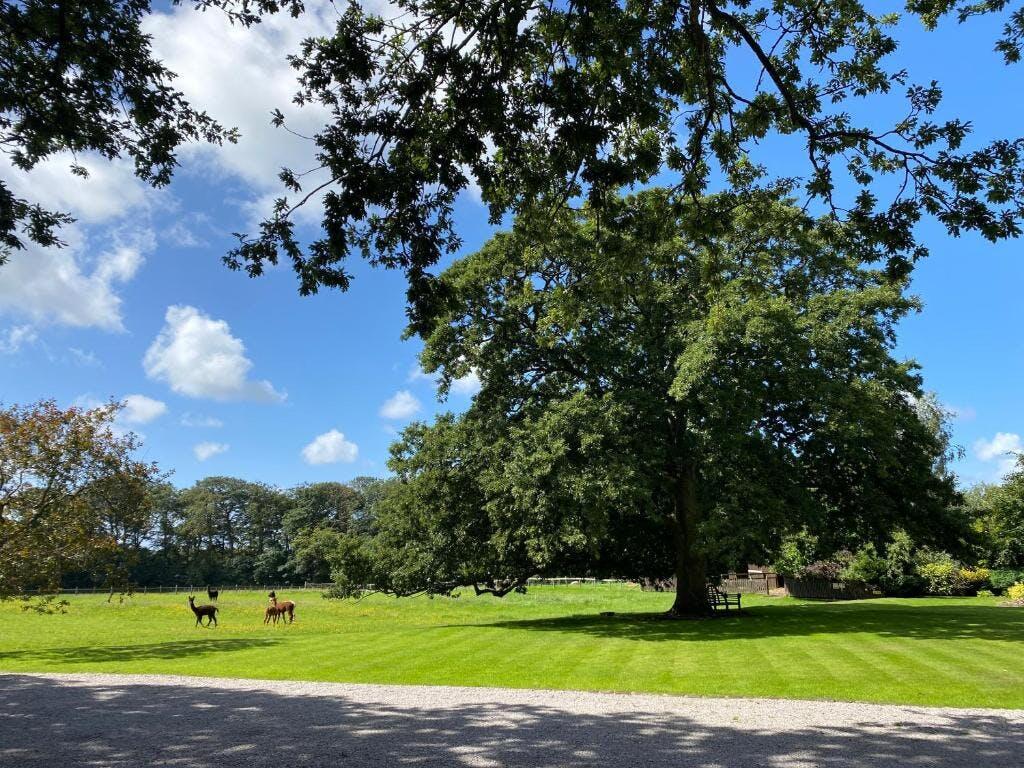 outdoor.jpg