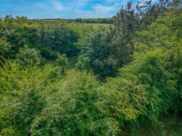 DJI_0567_HDR-Edit.jpg