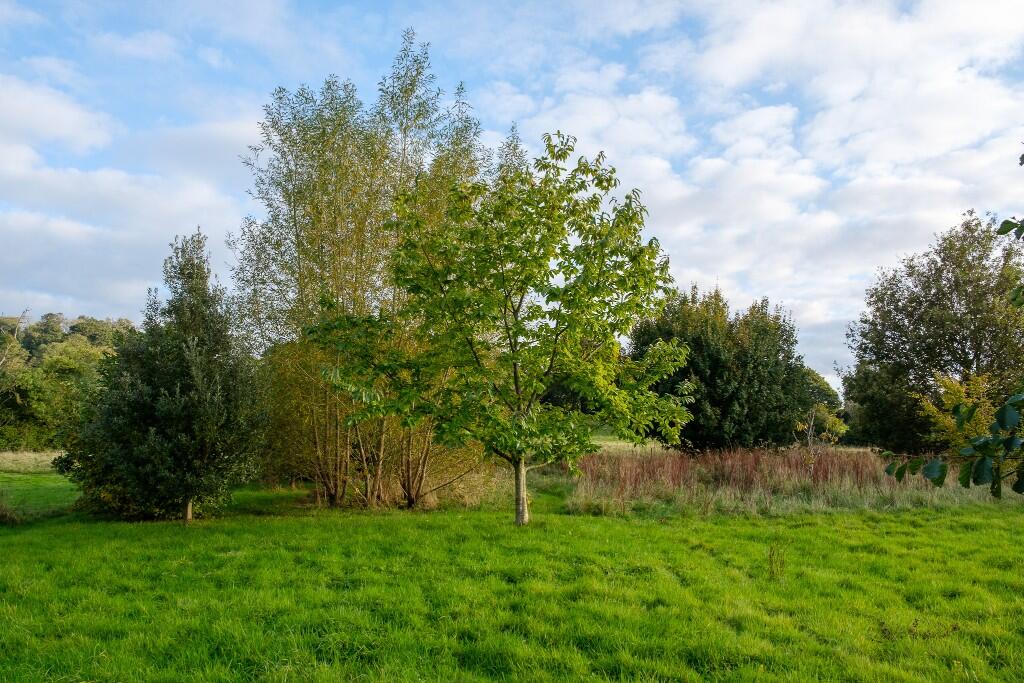 Additional image 24 of Lamyatt, Somerset, BA4 6NP