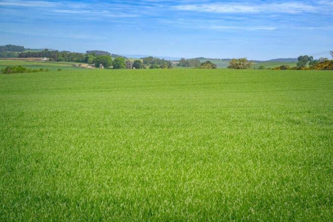 Land At Muirhead