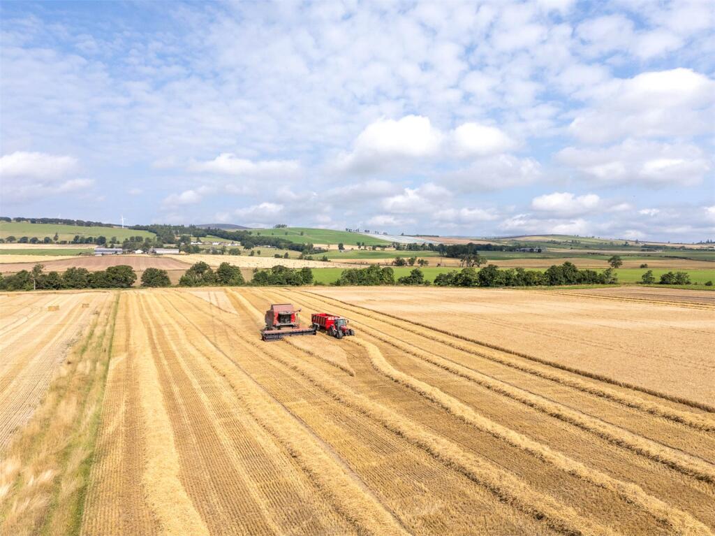 Land At The Coe, Menmuir, Brechin, Angus, DD9 - More