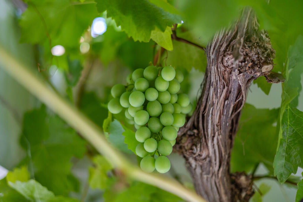 Additional image 22 of Bathford Hill, Bath, BA1