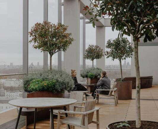 Terrace.jpg