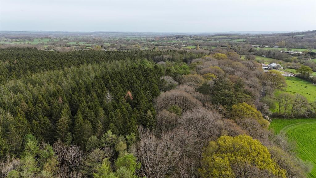 Main image of property: Woodland at Minterne Magna, Minterne Magna, Dorchester