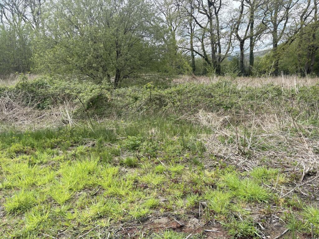 Main image of property: Cilycwm, Llandovery, Carmarthenshire.