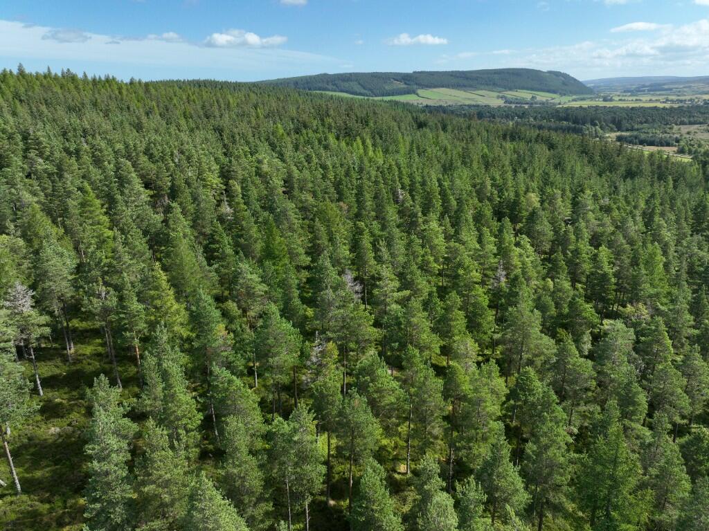 Main image of property: Craigmill Forest Estate, Dallas, IV36