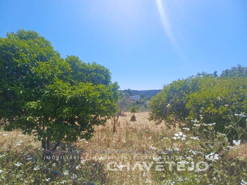 Main image of property: Ribatejo, Tomar