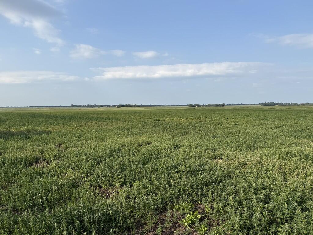 Main image of property: Hospital Road, Doddington