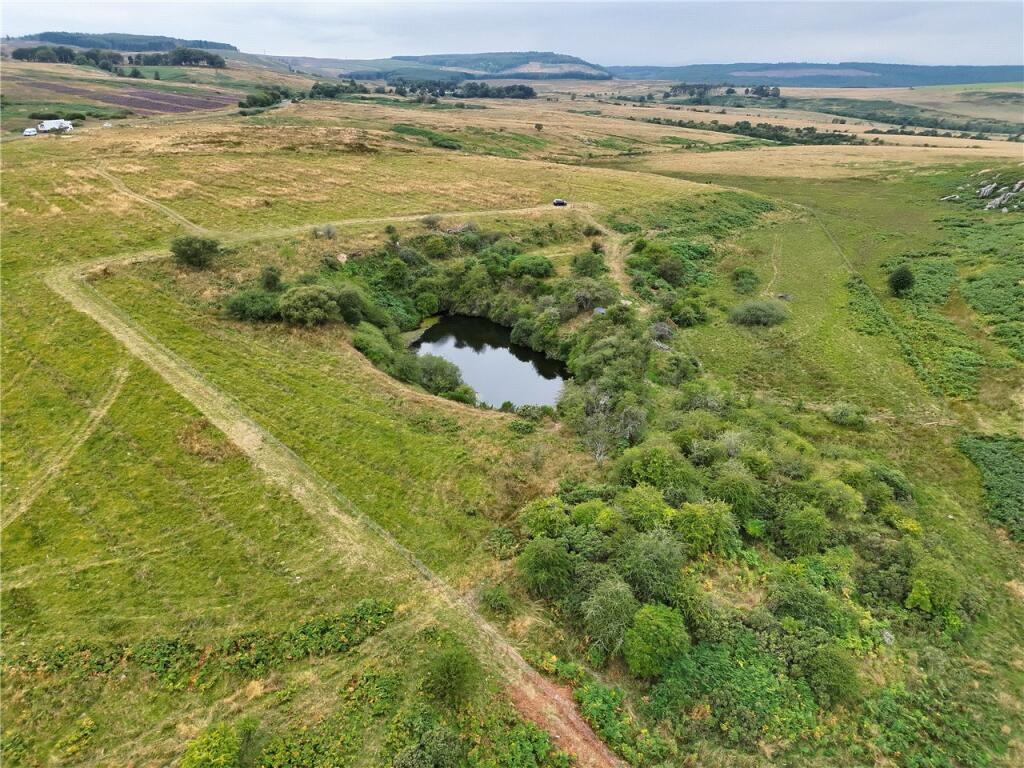 Wellhope Dene Wood and Lake, Edlingham, Alnwick, Northumberland, NE66 - More