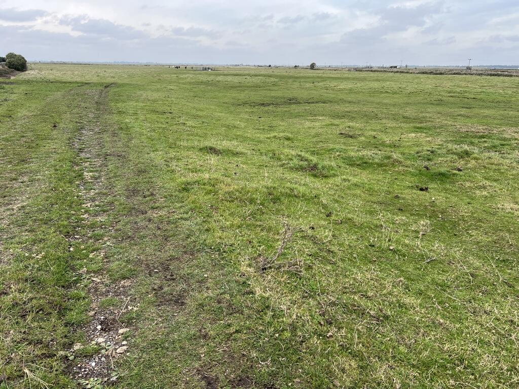 Grazing Marshes, Acle New Road, Great Yarmouth, Norfolk, NR30 - View 5