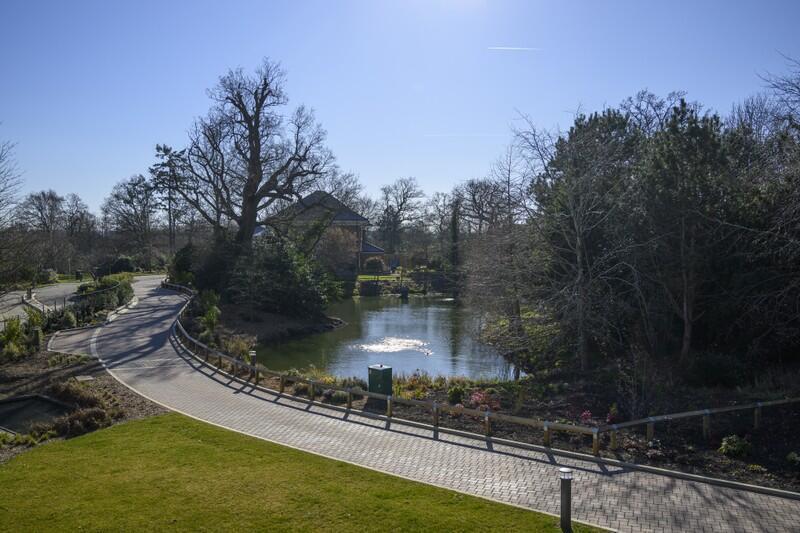 Apartment in Tonbridge - View 3