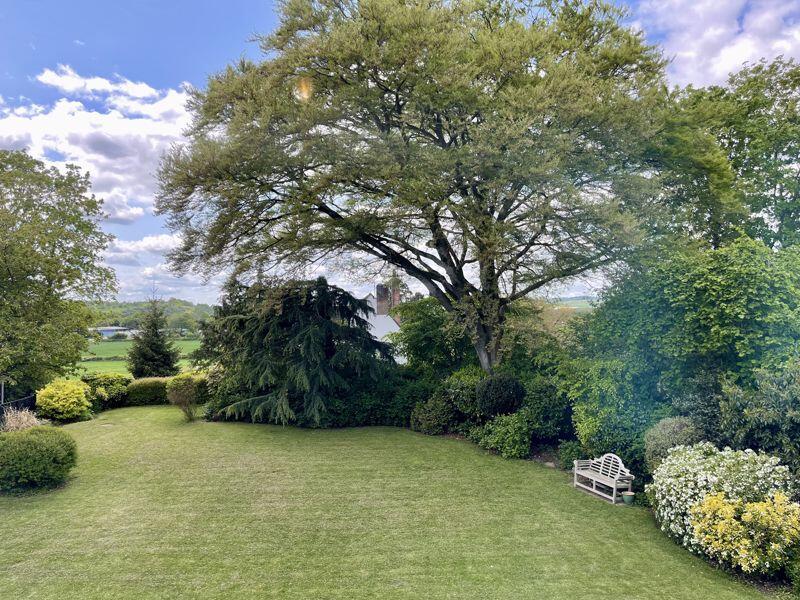 The Garden Of Dreams! Bourne End photo 3