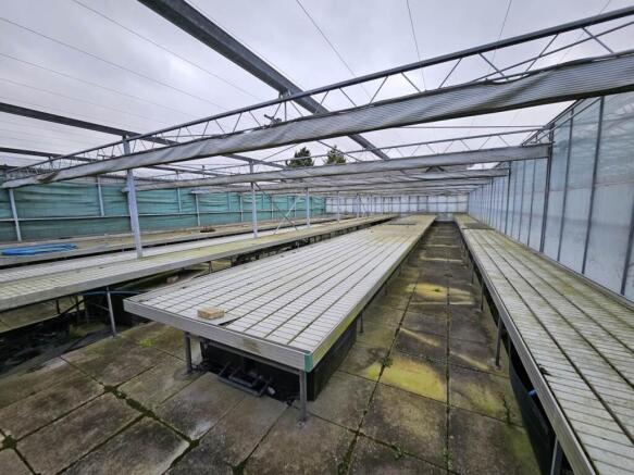 Marsden Nurseries (1